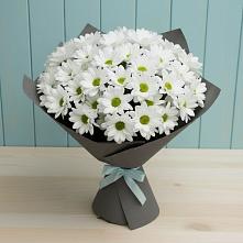 Букет цветов из:  Хризантемы в Коченёво