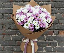 Букет цветов из:  Хризантемы #REPLACE_PRED# Коченёво