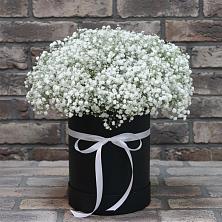 Цветочная композиция из Гипсофила в шляпной коробке в Коченёво